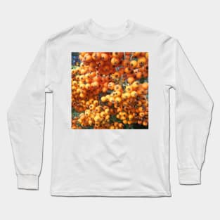 Orange Berries Seaberry Long Sleeve T-Shirt